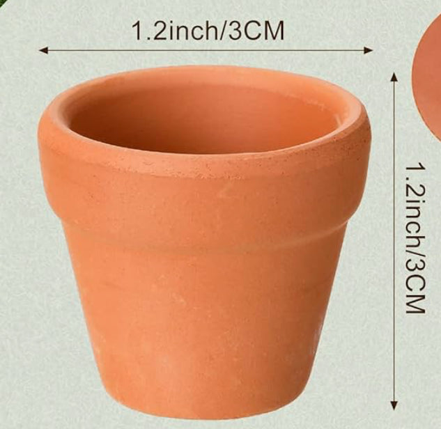 Miniature Cactus - DIY Cactus Kits, Live Plant,Micro (hand painted blue desert)