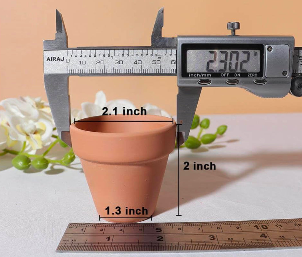 Miniature Cactus - DIY succulent Kits, Live Plant,Micro(hand painted Love pot)