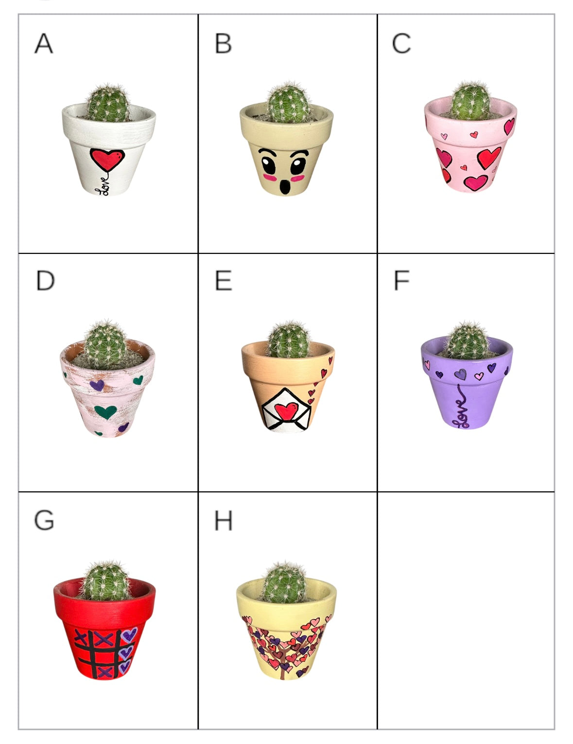 Miniature Cactus - DIY succulent Kits, Live Plant,Micro(hand painted Love pot)