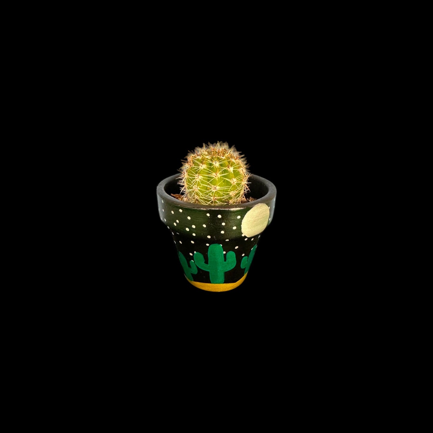 Miniature Cactus - DIY Cactus Kits, Live Plant,Micro(hand painted- night sky with cacti )
