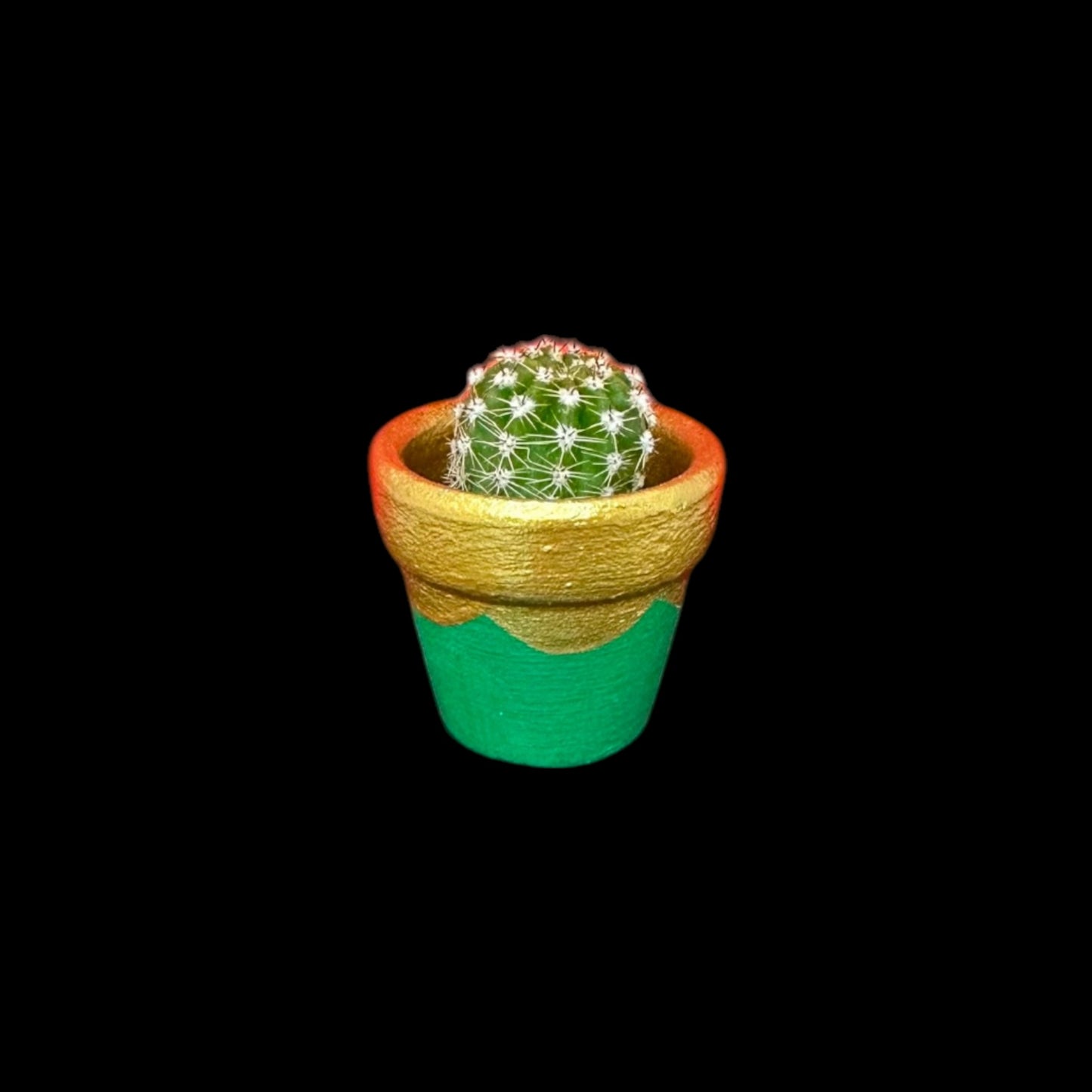 Miniature Cactus - DIY Cactus Kits, Live Plant,Micro (hand pained green and gold)