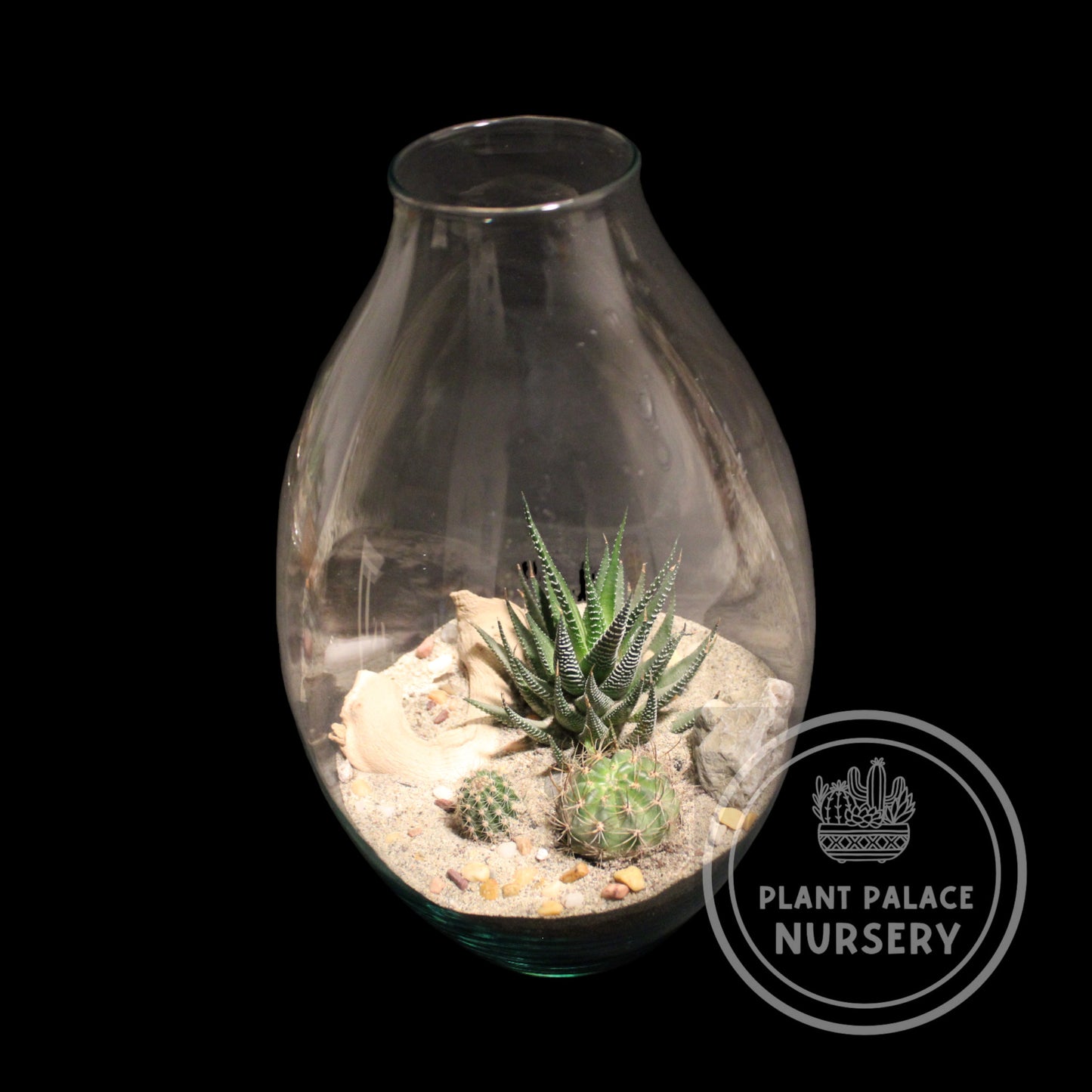 Handcrafted Cactus Terrarium in 12" Glass (4" Base)