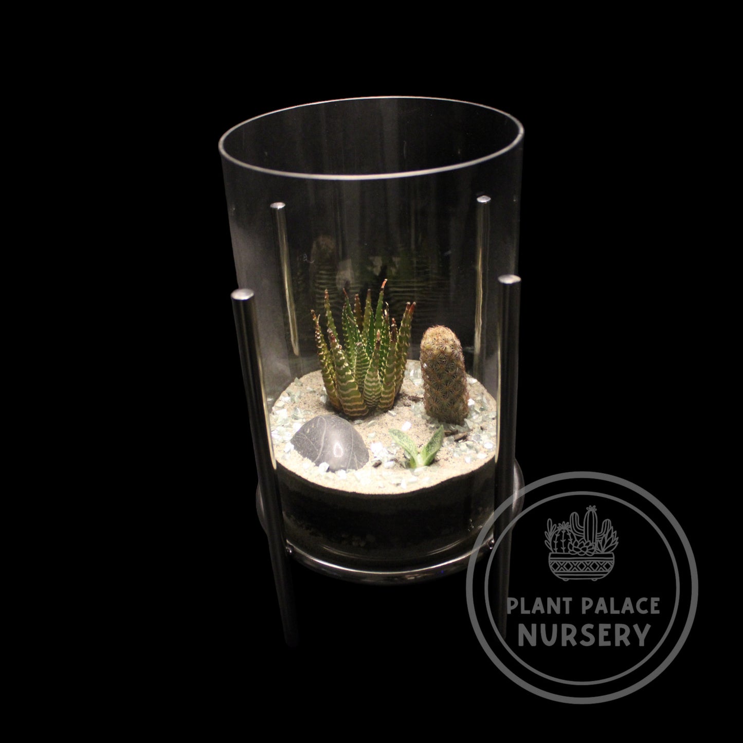 Handcrafted Cactus Terrarium in 8" Glass (5 1/2" Base)