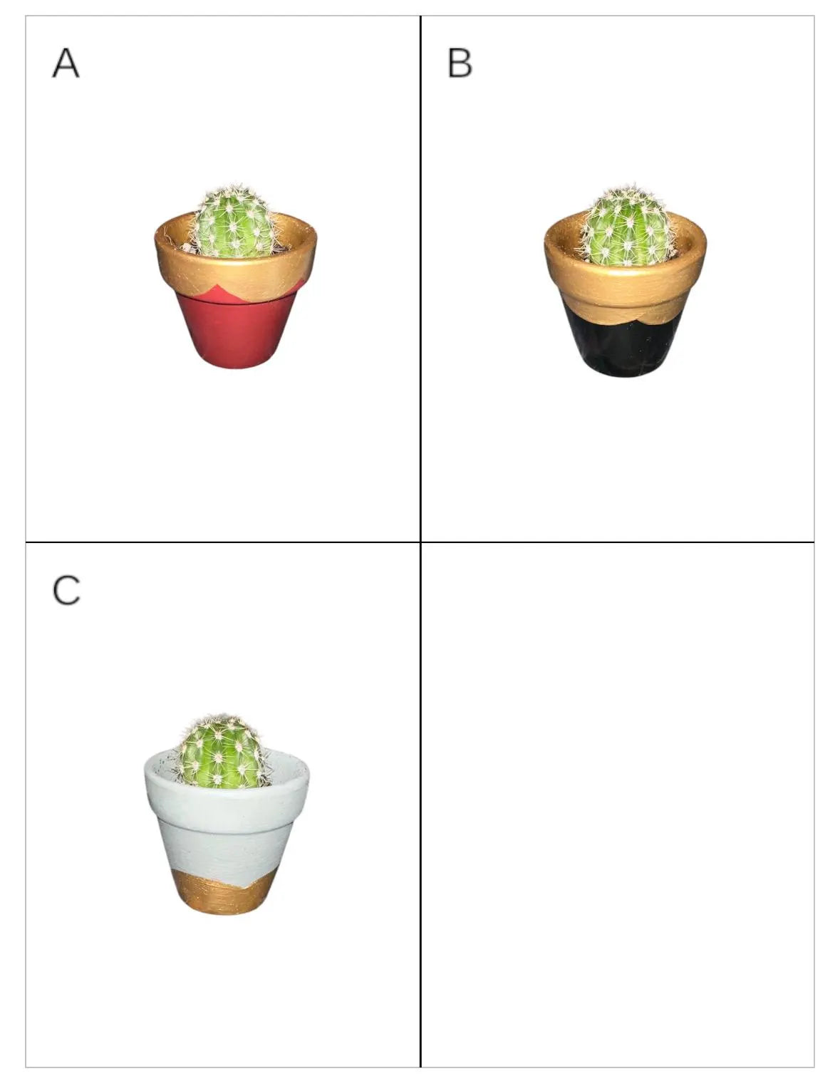 Miniature Cactus - DIY Cactus Kits, Live Plant,Micro (hand painted)