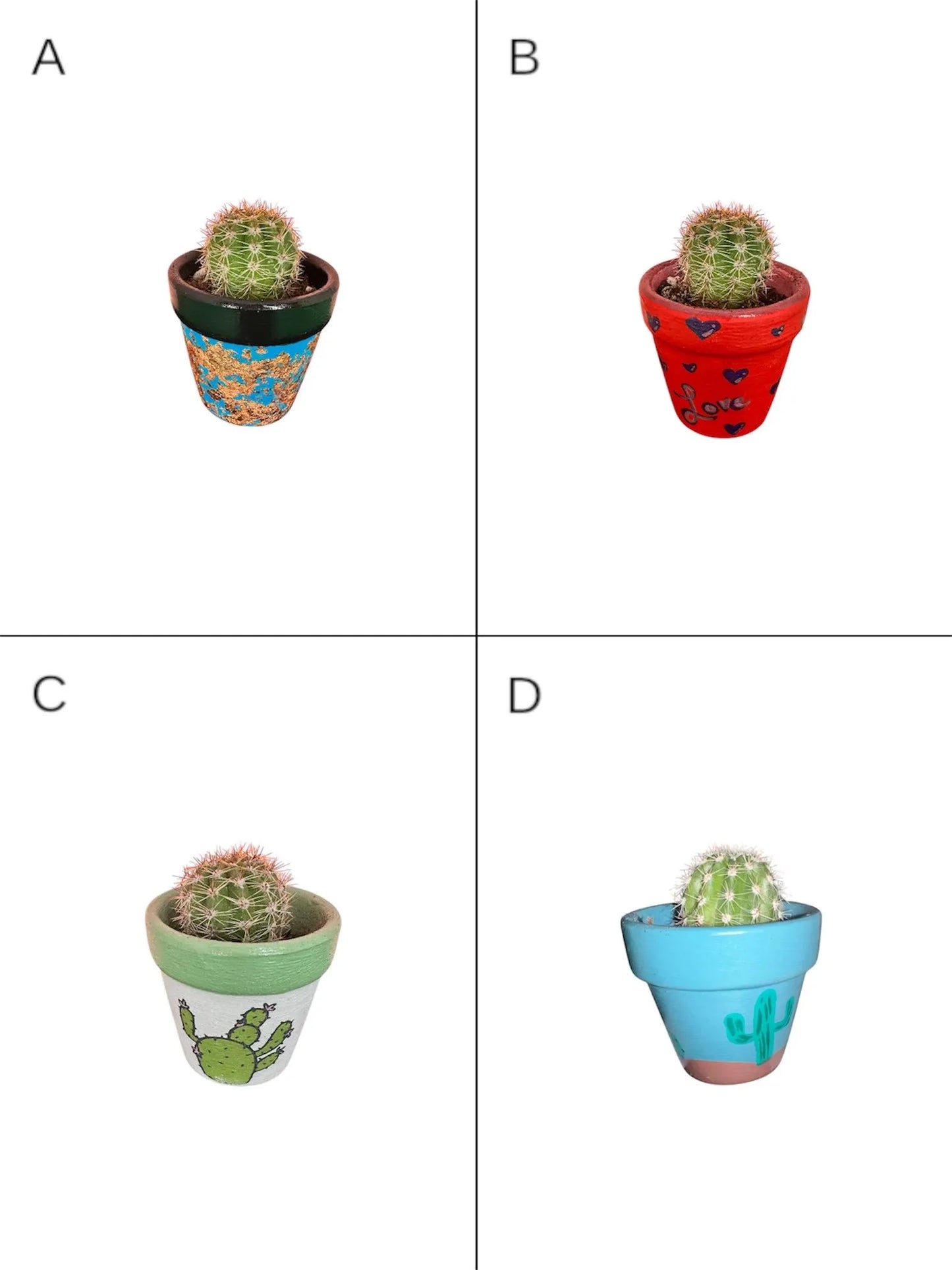 Miniature Cactus - DIY Cactus Kits, Live Plant,Micro (hand painted)