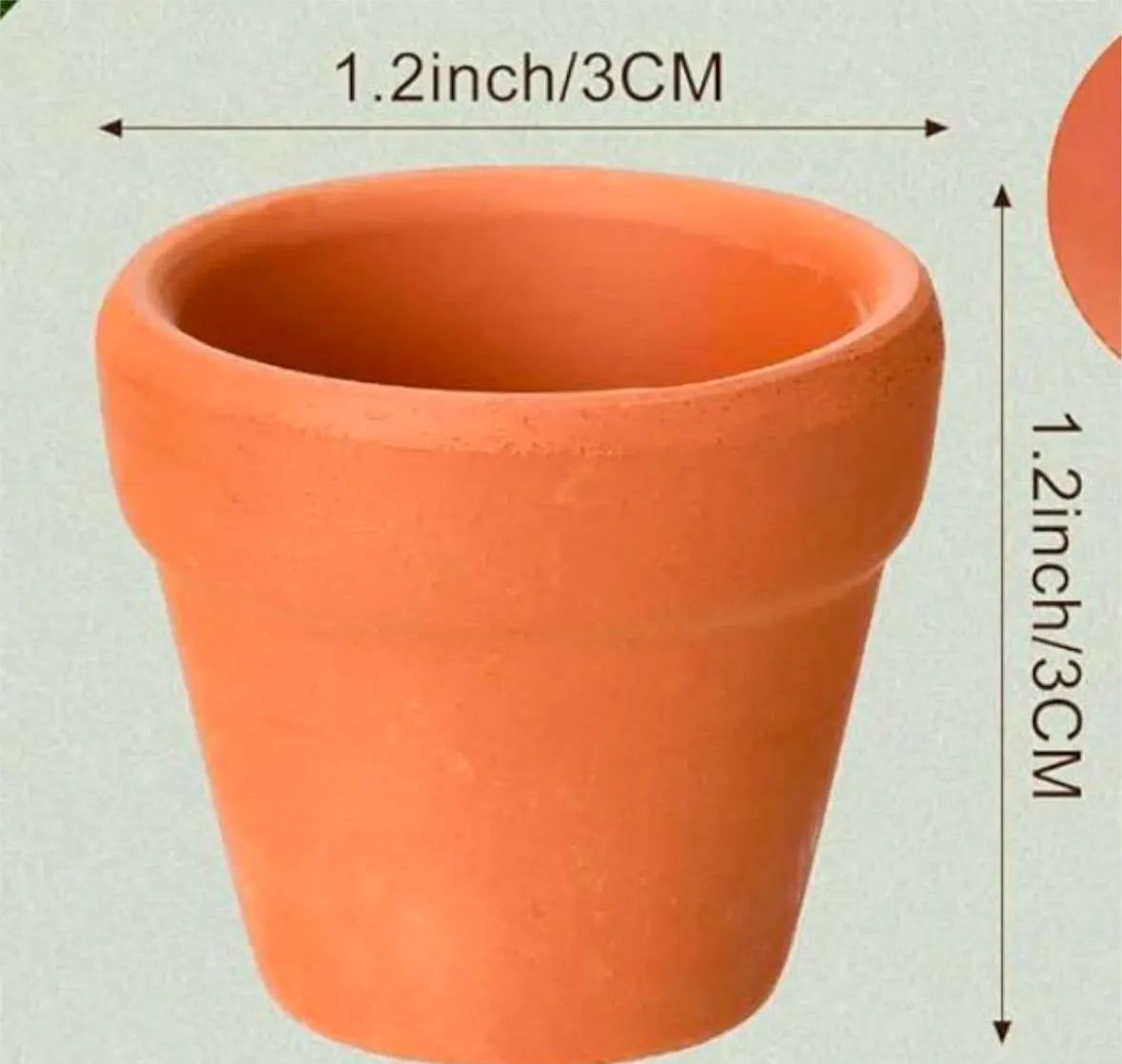 Miniature Cactus - DIY Cactus Kits, Live Plant,Micro(hand painted- Chicken)
