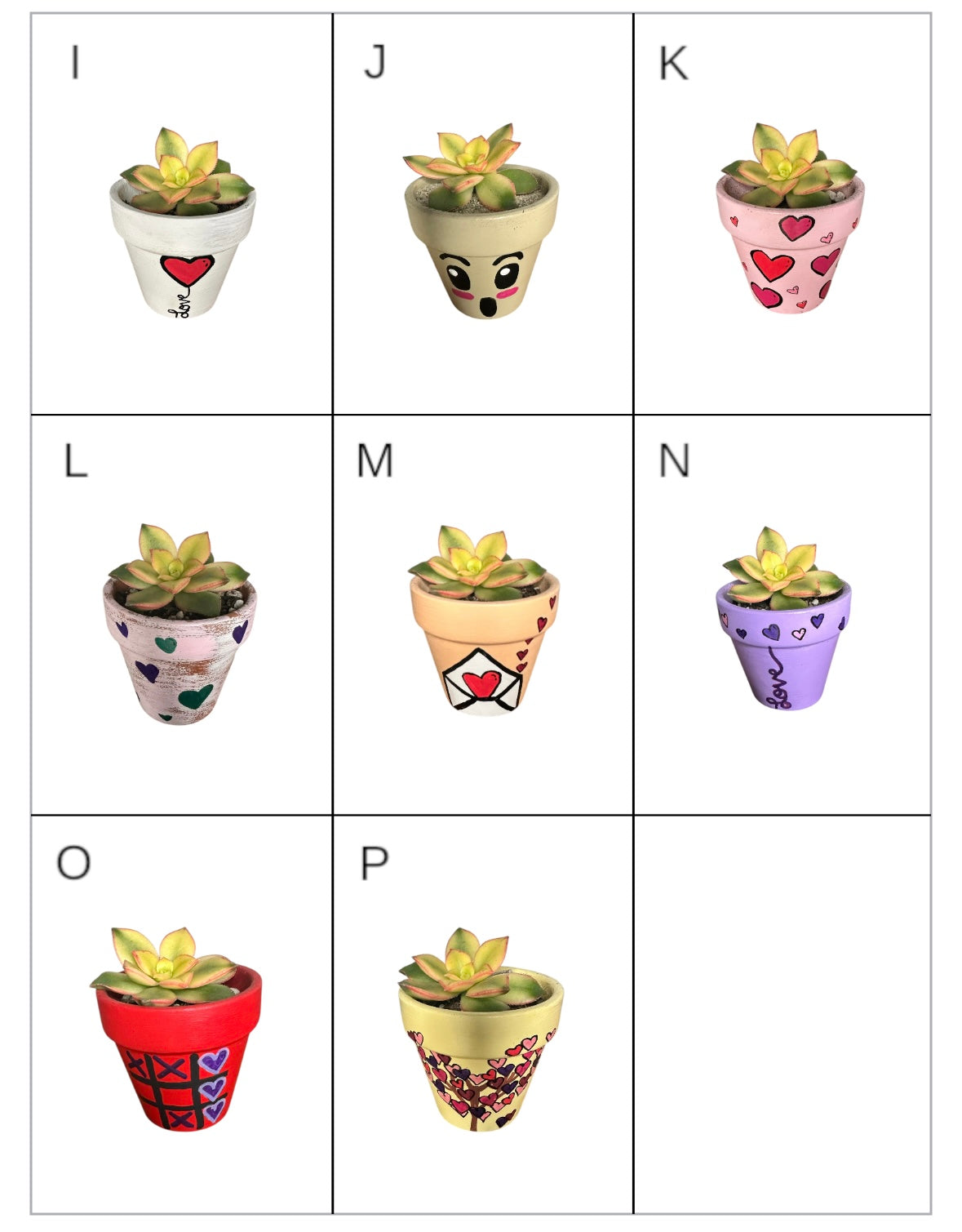 Miniature Cactus  - DIY succulent Kits, Live Plant,Micro(hand painted Love pot)