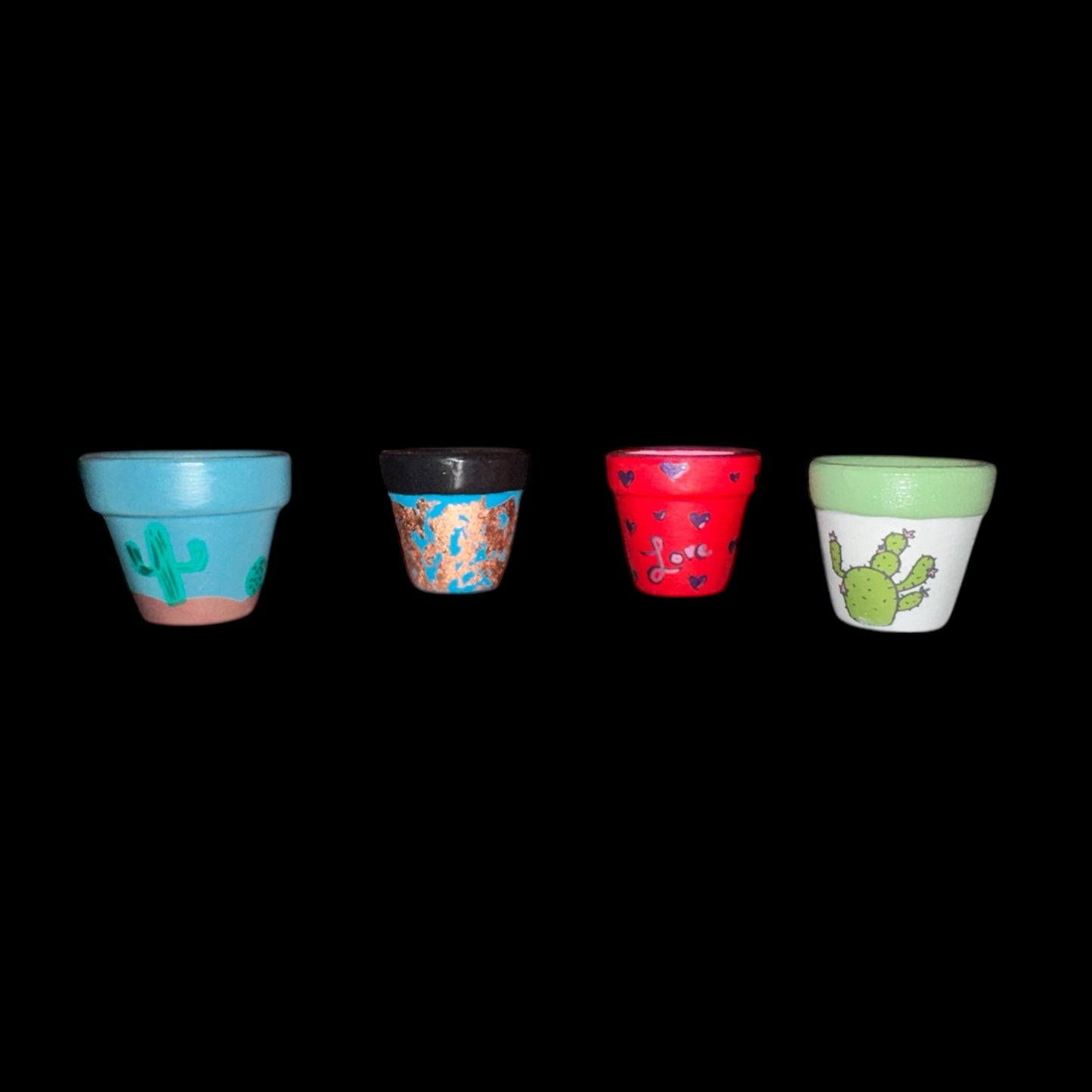 Miniature Cactus - DIY Cactus Kits, Live Plant,Micro (hand painted)