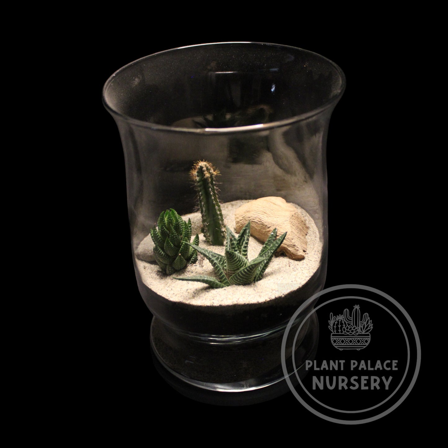 Handcrafted Cactus Terrarium in 8 1/2" Glass (5 1/2" Base)