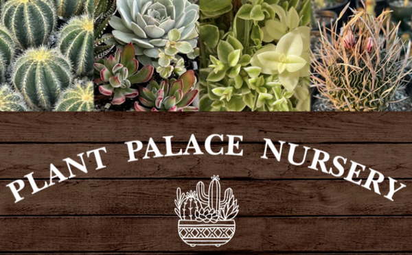 Plant Palace Nursery  logo