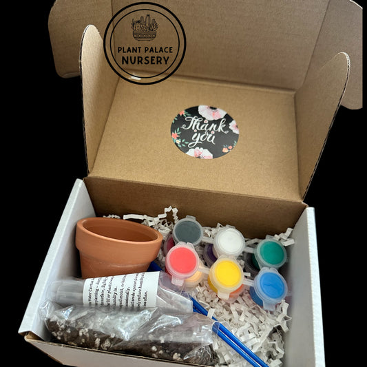 Paint-Your-Own Terracotta Pot  Kit