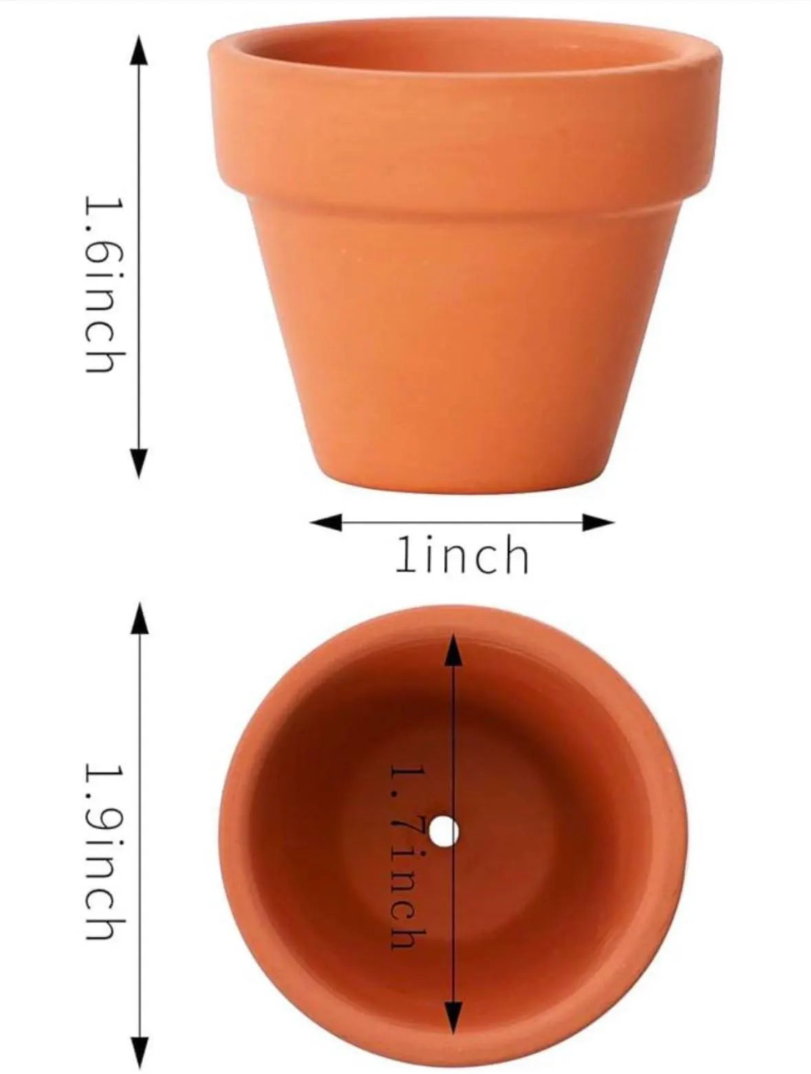 Miniature Cactus - DIY Cactus Kits, Live Plant,Micro (hand painted)